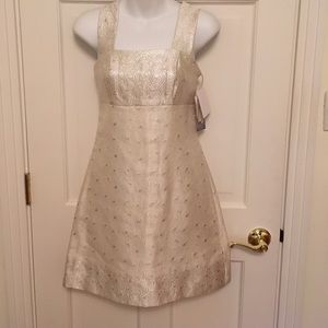 👗NWT Jessica McClintock Dress. Size US 4 👗